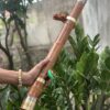t.lao Chính Hãng