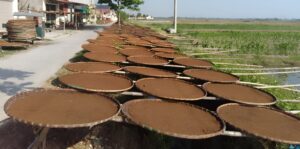 Thuốc lào mộc là gì? Cách chọn loại thơm, êm, chuẩn