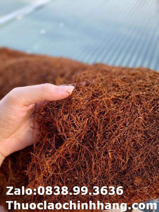 thuốc lào ngon - cận cảnh sợi thuốc lào đạt độ khô và màu sắc đồng đều