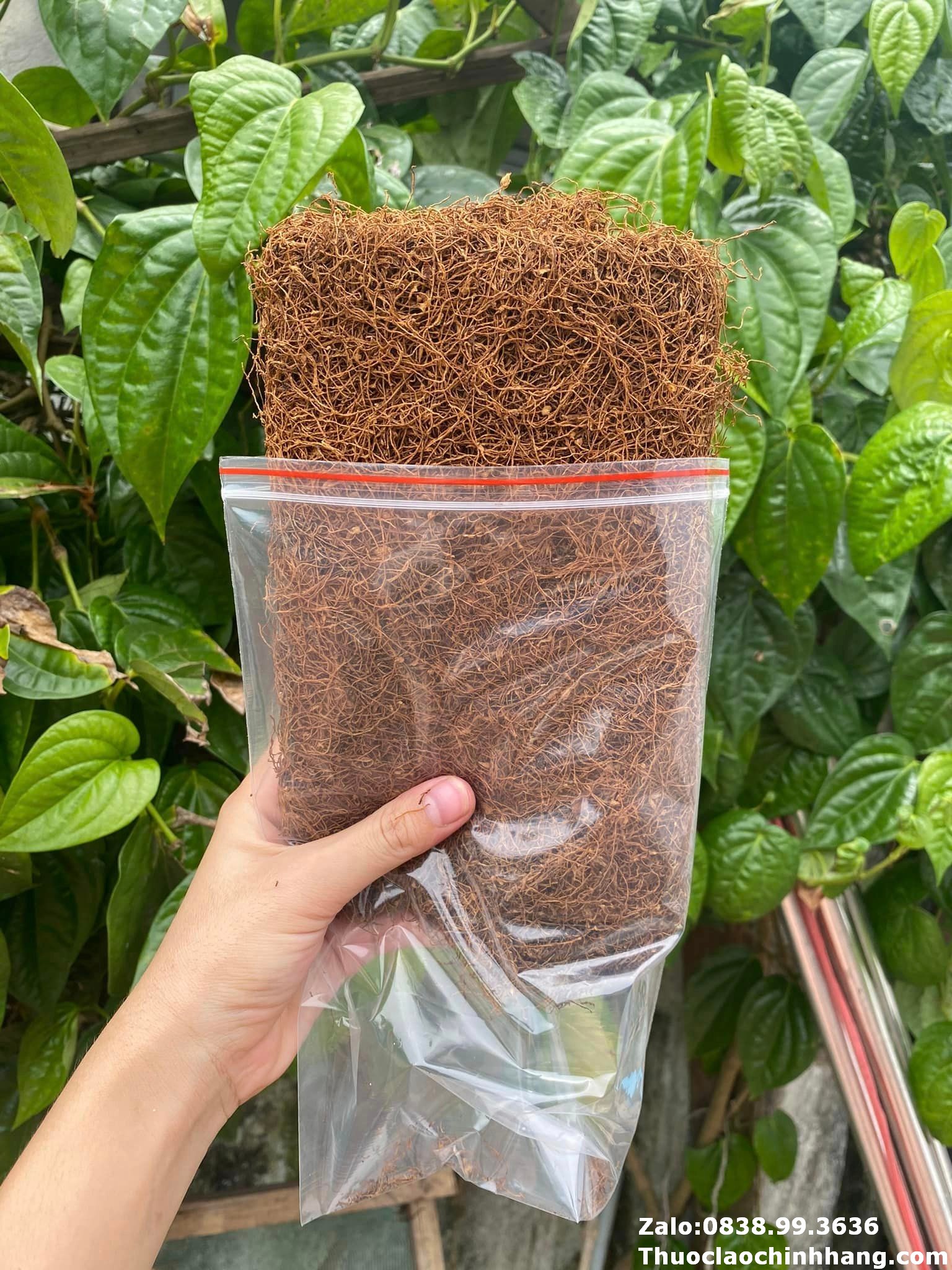 thuốc lào ngon - sợi thuốc lào khô đều, màu đẹp và thơm tự nhiên